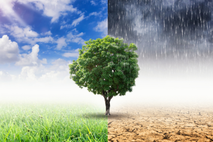 Fernando Trabach Filho explora como a inteligência artificial pode ser aliada no enfrentamento das mudanças climáticas globais.