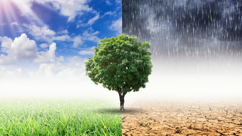 Fernando Trabach Filho explora como a inteligência artificial pode ser aliada no enfrentamento das mudanças climáticas globais.