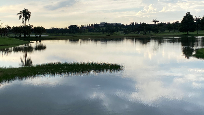O golfe é um exercício de autoconhecimento e disciplina que inspira evolução pessoal, afirma Milton Seigi Hayashi.