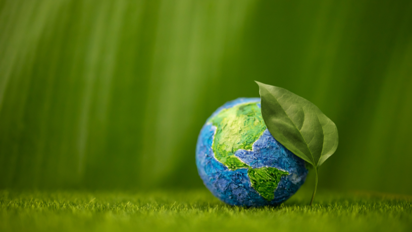 Como a Versa Engenharia Ambiental atua na preservação do meio ambiente para garantir mais qualidade de vida nas comunidades.