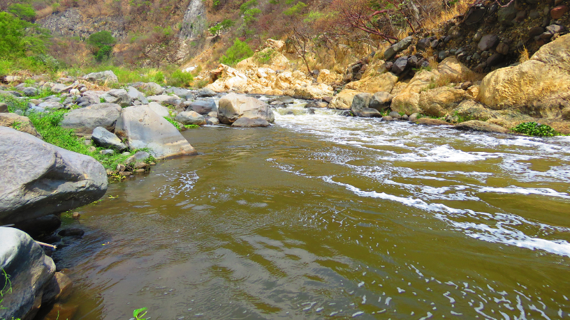 Márcio Velho da Silva