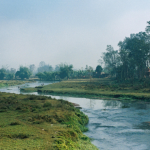 Márcio Velho da Silva
