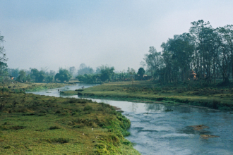 Márcio Velho da Silva